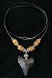 Megalodon Tooth Necklace #17345-1